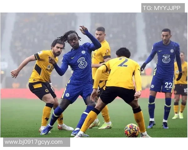 今日切尔西对阵狼队的精彩比分揭晓及赛后分析